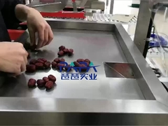 수직식품 포장기 CP01