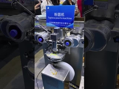 타피오카 펄 제조기 - 200개/분 | 완전 자동 생산 라인