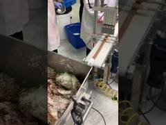 땅콩과 코코넛 코팅 생산 라인