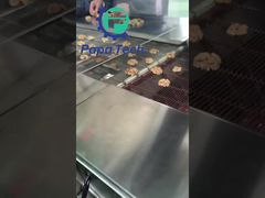 초콜릿 코팅 호두