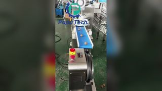 오트밀 단백질 볼 생산 라인