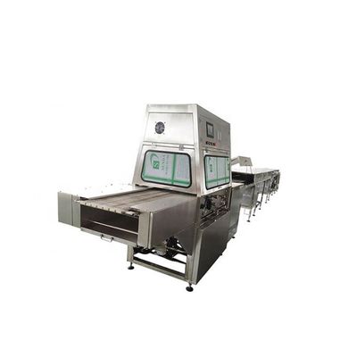 0-6m/Min 도넛 초콜릿 엔로버 머신 초콜릿 바를 위한 400mm 너비