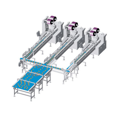 좋은 가격 Automatic Flow Pack Packaging Machine - Complete Line for Bakery Foods, Swiss Rolls & Cube Cakes 온라인으로